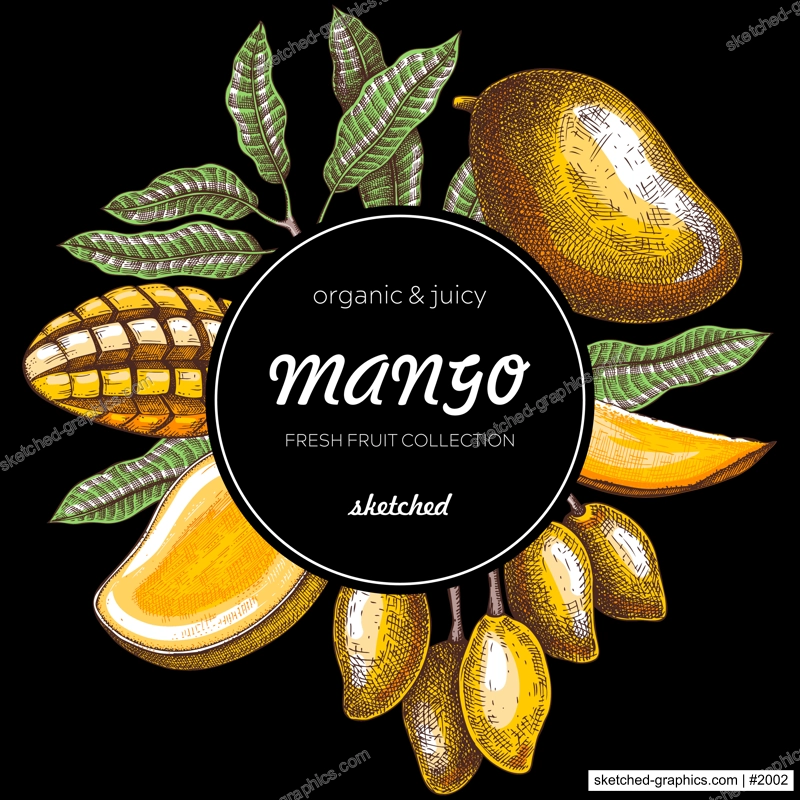 Tropical fruit banner collage style. Summer background. Mango sketch, hand-drawn vector illustration. Juice packaging, invitation card template, print design. NOT AI generated