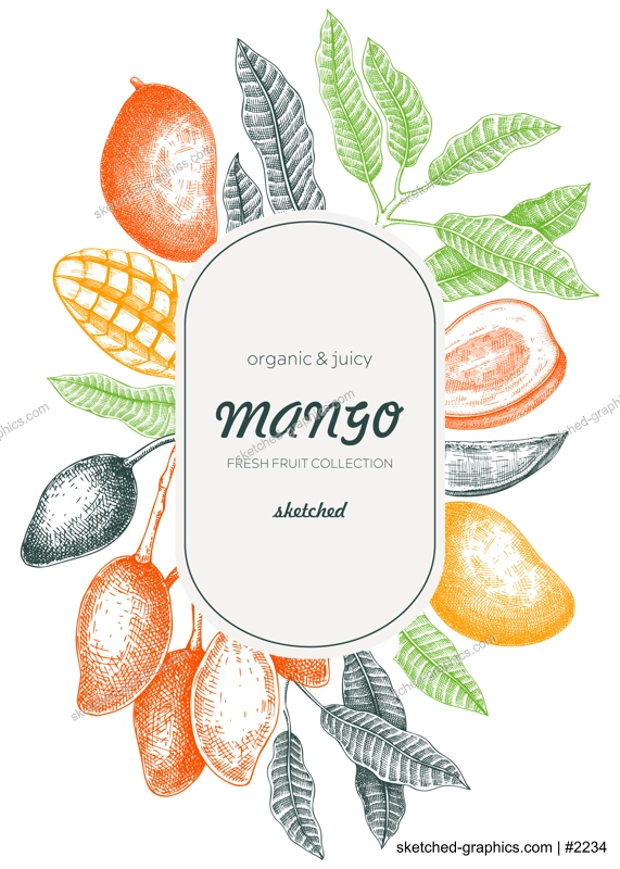 Tropical fruit flyer template. Summer background. Mango fruit sketch, hand-drawn vector illustration. Tropical plant frame, juice packaging, print design. NOT AI generated