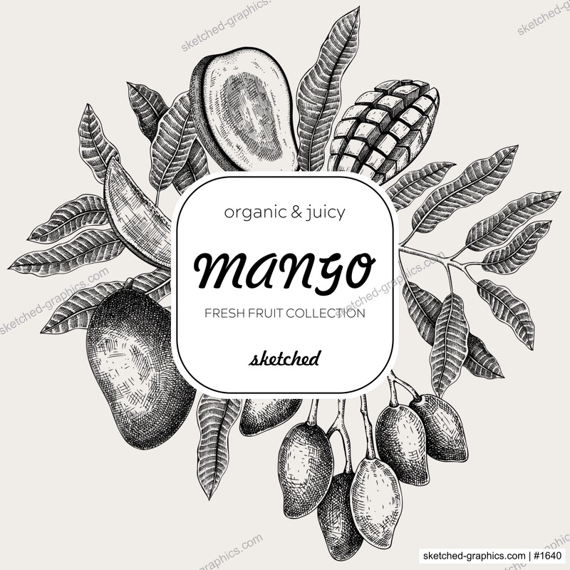 Summer background. Tropical fruit sketches. Mango hand-drawn vector illustration. Exotic plants frame. Juice packaging, invitation card template, print design. NOT AI generated