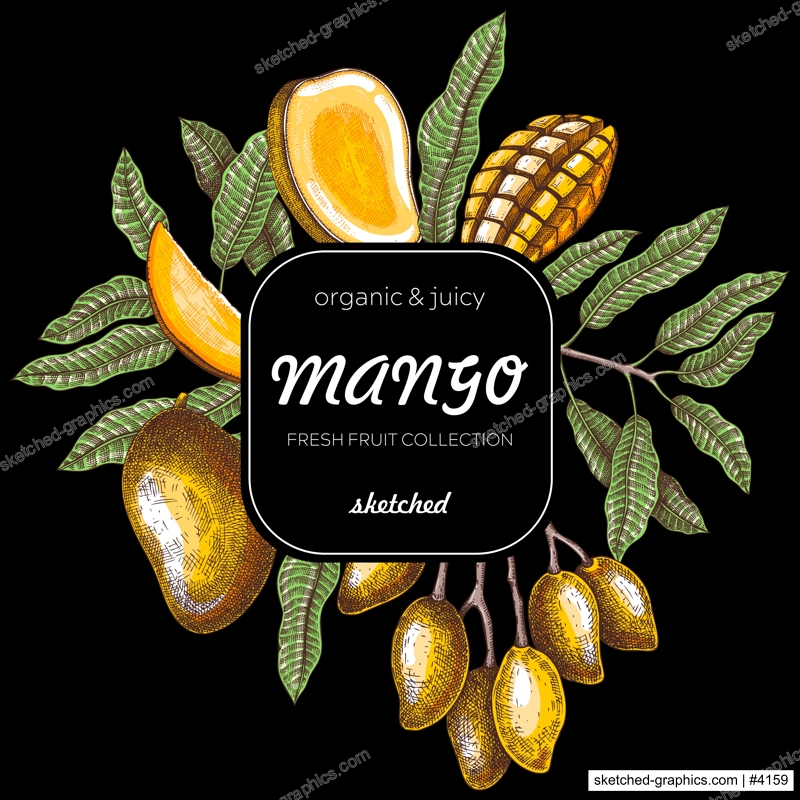 Summer background. Tropical fruit sketches. Mango hand-drawn vector illustration. Exotic plants frame. Juice packaging, invitation card template, print design, mixed media collage. NOT AI generated