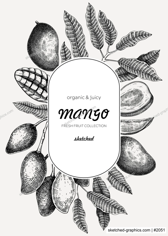 Fruit design template. Realistic mango hand-drawn vector illustration. Exotic fruit, mango tree branches, leaves sketches. Vintage frame, label, banner, packaging, print. Summer design element
