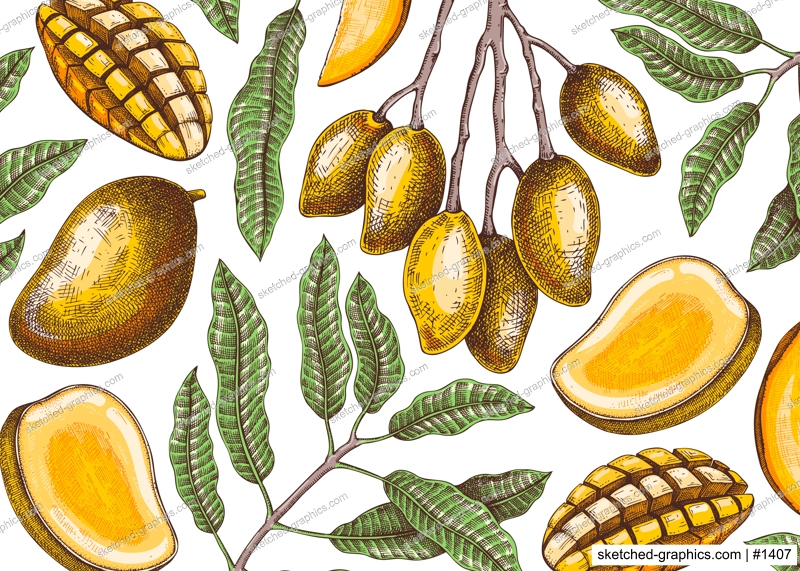 Vintage tropical background. Ripe mango sketch. Hand-drawn vector illustration. Tropical fruit banner design, juice packaging, mixed media print. NOT AI generated