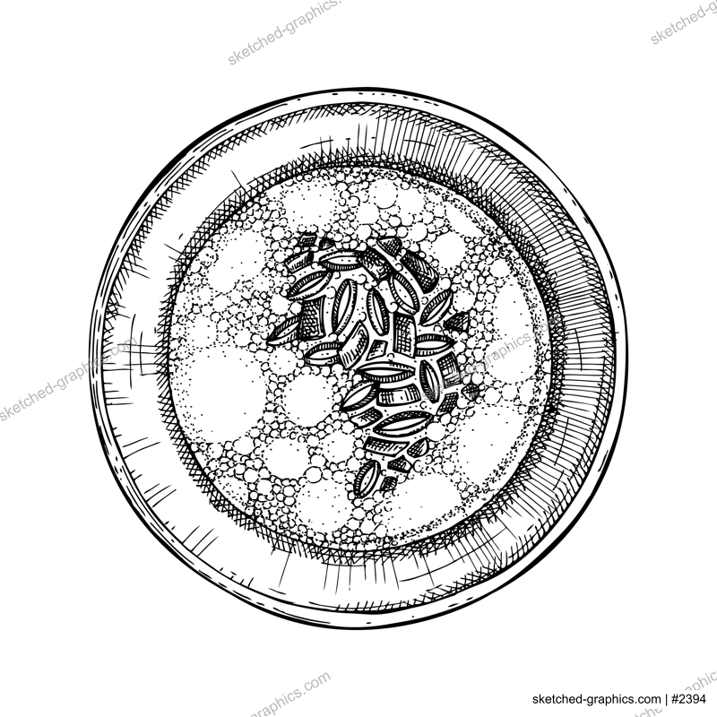 Marrow bone broth in plate top view sketch. Cooked soup isolated on white background. Hand drawn healthy food illustration for cafe, restaurant, recipes, menu in vintage style. 