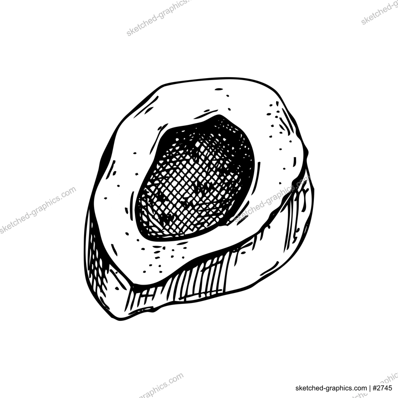 Slice of big marrowbone with meat sketch. Cooked bone isolated on white background. Hand drawn healthy food illustration for butchery, recipes, menu in vintage style. 