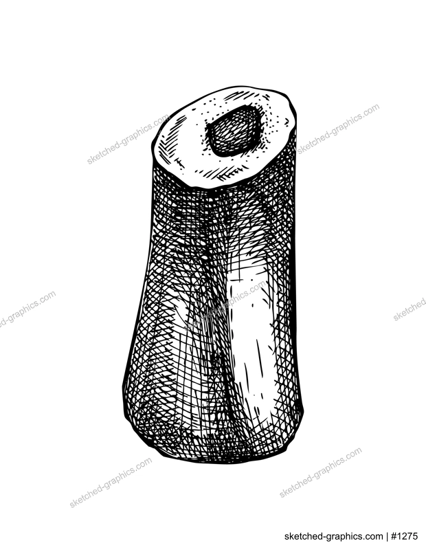Slice of big marrowbone with meat sketch. Raw bone isolated on white background. Hand drawn healthy food illustration for butchery, recipes, menu in vintage style.