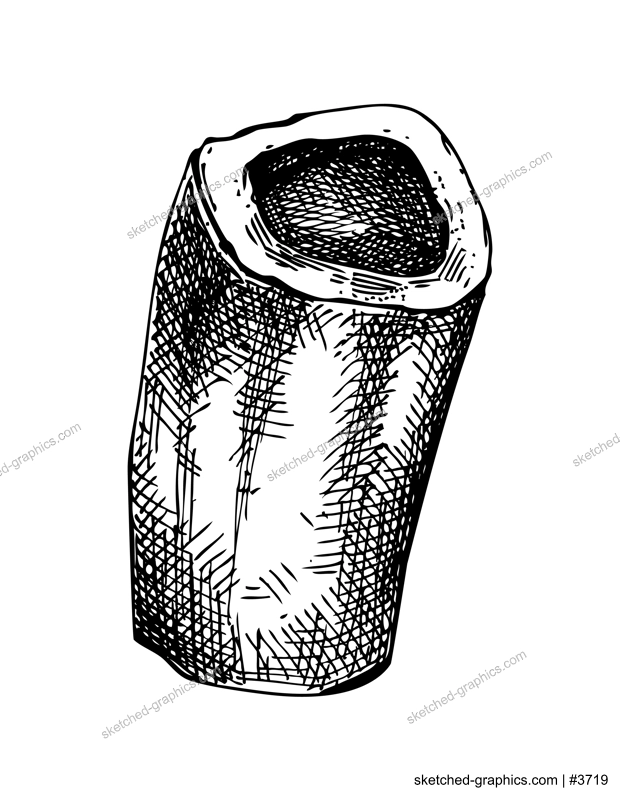 Slice of big marrowbone with meat sketch. Raw bone isolated on white background. Hand drawn healthy food illustration for butchery, recipes, menu in vintage style. 
