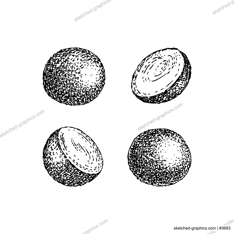 Marzipan balls in cocoa powder sketches set. Hand-drawn vector illustration. Marzipan candy drawings. Christmas market food, dessert, confectionary design elements