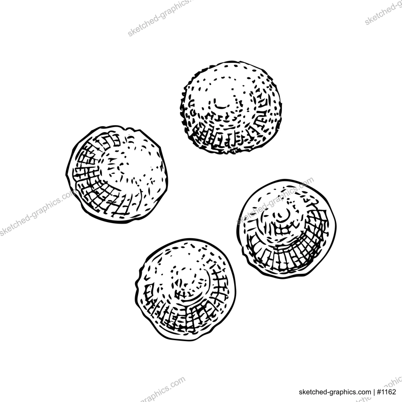 Marzipan balls sketches set. Hand-drawn vector illustration. Marzipan candy drawings. Christmas market food, dessert, confectionary design elements