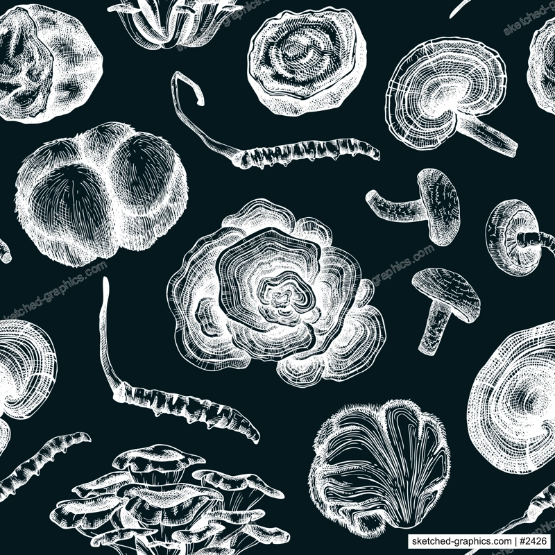 Medicinal mushroom seamless patte. Medicinal plants sketches. Hand-drawn vector illustrations. Chinese herbology background. NOT AI generated