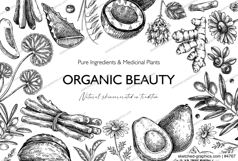 Medicinal plants background. Hand drawn skin care, organic cosmetics, natural ingredients vector illustration. Beauty salon frame design. Not AI generated