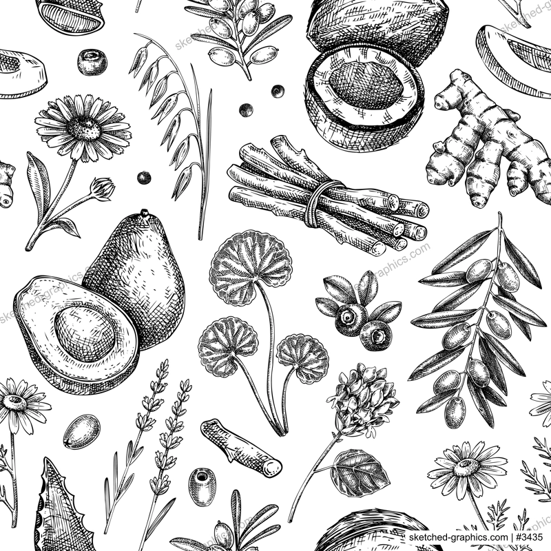 Medicinal plants seamless pattern. Natural ingredients background. Organic cosmetics design in sketched style.  NOT AI generated