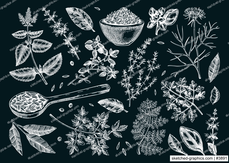 Middle Eastern cuisine herb and spice sketches set on chalkboard. Parsley, thyme, cumin, laurel, mint, sage, cilantro drawing. Kitchen spices hand-drawn vector illustration. NOT AI genereted