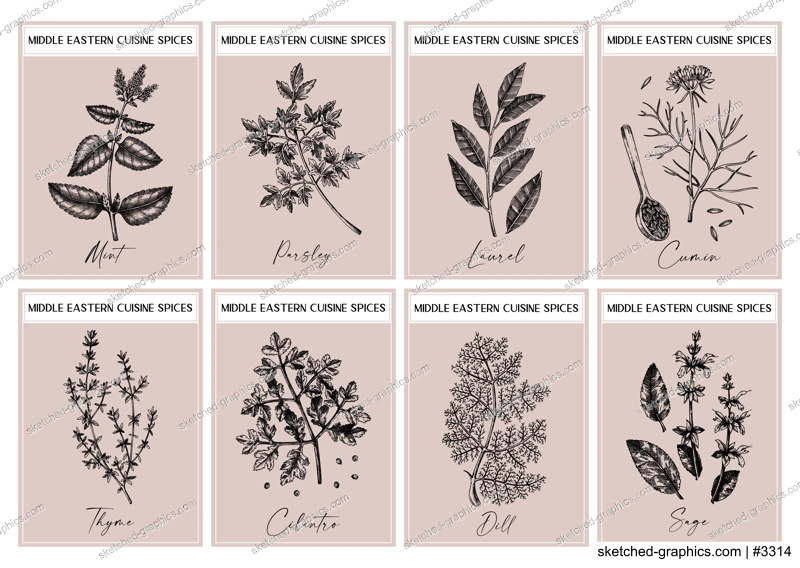 Middle Eastern spice labels set. Basil, mint, rosemary, parsley, sage, bay leaf, fennel  sketches. Herbs and spices hand-drawn vectot illustration. Vintage print design. NOT AI generated