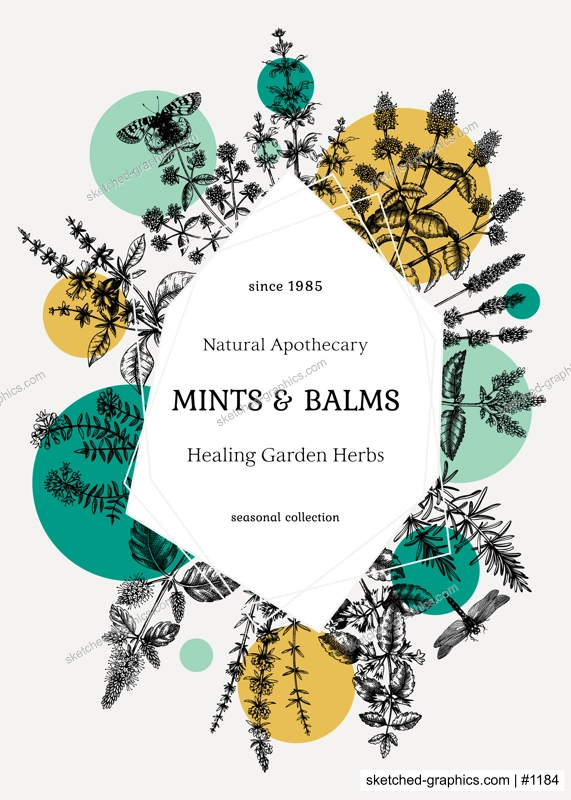 Hand-sketched Mints and Balms trendy design. Mints plants and insects illustration in collage style. Medicinal herbs and summer flowers background with geometric elements. Herbal tea ingredients