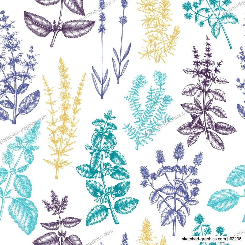 Mints and balms seamless pattern. Hand sketched aromatic and medicinal herbs background. Herbal tea ingredients. Mint plants in vintage style backdrop. For textile, wrapping, packaging.