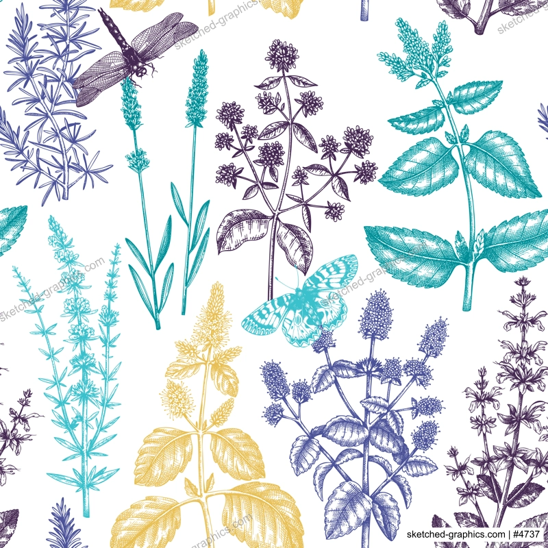 Mints and balms seamless pattern. Hand sketched aromatic and medicinal herbs background. Herbal tea ingredients. Mint plants for cosmetics, perfumery, textile, wrapping, packaging, fabric. 
