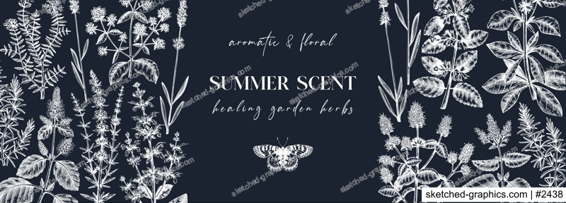 Mints on a chalkboard. Hand sketched medicinal herbs banner design. Vector mint plants sketches. Vintage summer flowers template. Botanical background with floral elements in engraved style. 