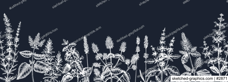 Mints on chalkboard. Hand drawn medicinal herbs banner design. Vector mint plants sketches. Vintage summer herbs template. Botanical background with floral elements in engraved style. Herbs outlines