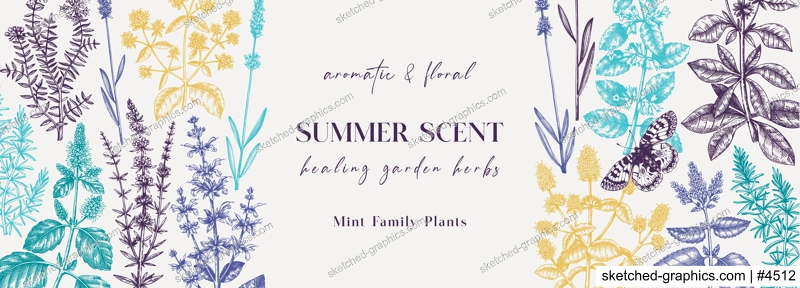 Mints on a chalkboard. Hand sketched medicinal herbs banner design. Vector mint plants sketches. Vintage summer flowers template. Botanical background with floral elements in engraved style. 