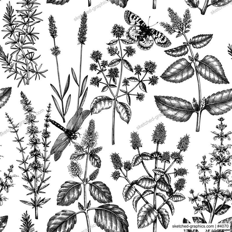 Mints and balms seamless pattern. Hand sketched aromatic and medicinal herbs background. Herbal tea ingredients. Mint plants for cosmetics, perfumery, textile, wrapping, packaging, fabric. 