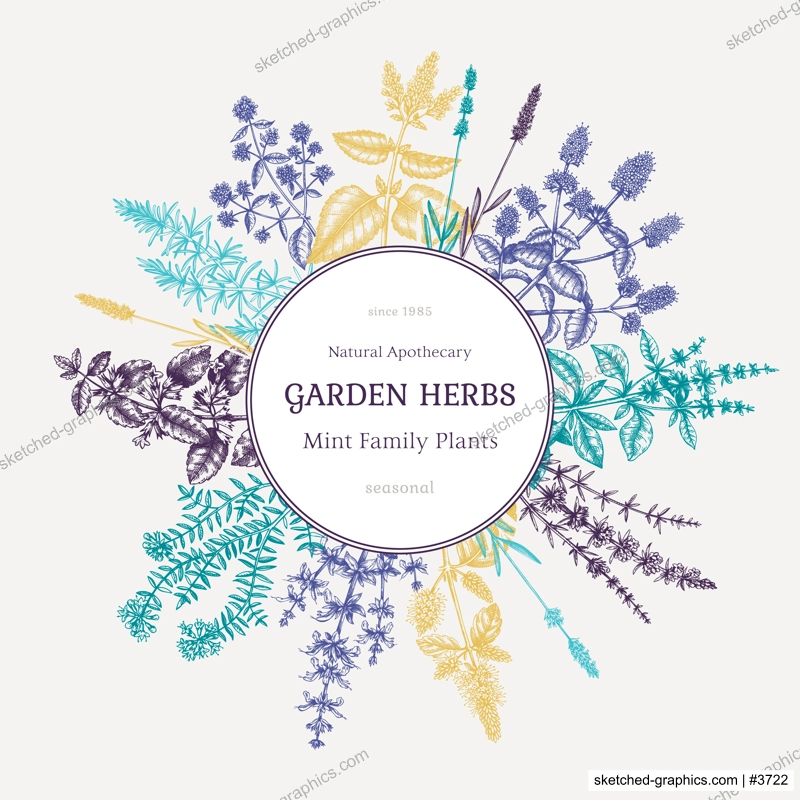 Mint plants wreath. Summer herbs retro design. Hand sketched aromatic and medicinal herbs background. Herbal tea ingredients. Mints in vintage style. For cosmetics and perfumery brands