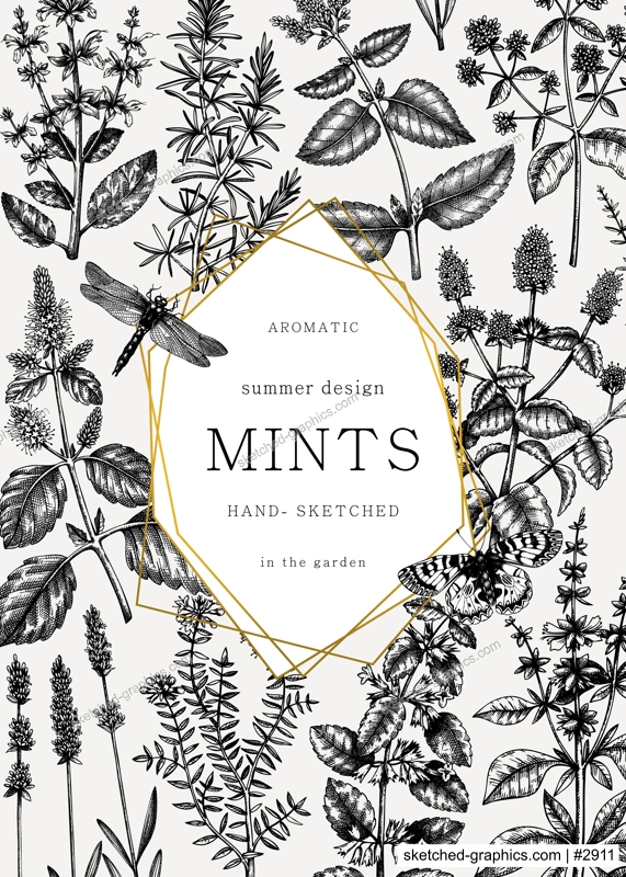 Hand-sketched Mints and Balms card or invitation design. Mints plants and insects illustration in vintage style. Medicinal herbs and summer flowers background. Herbal tea ingredients template. 