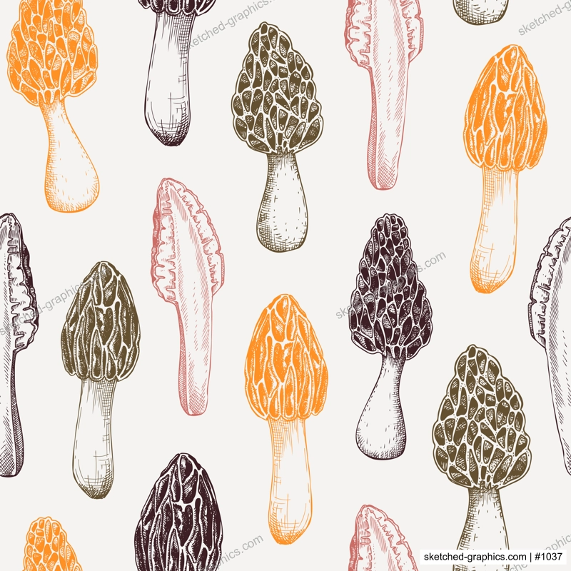 Morel mushroom background. Edible fungus seamless pattern. Morchella mushroom design in color. Fungal protein, mycoprotein source, healthy food, plant-based meat substitutes vintage illustration  