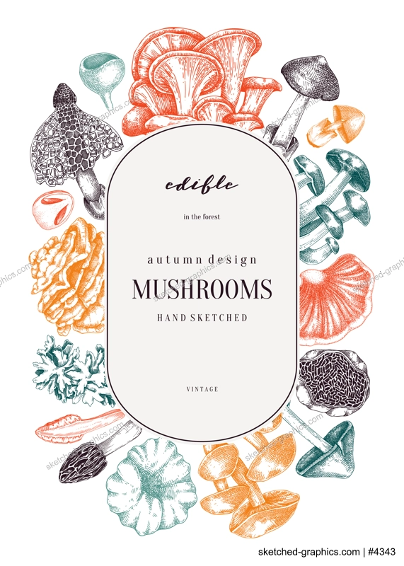 Forest mushrooms background. Edible mushrooms frame, vinatge card design. Fungi, healthy food, vegan product sketches. Autumn hand-drawn vector illustration. Engraved style design template