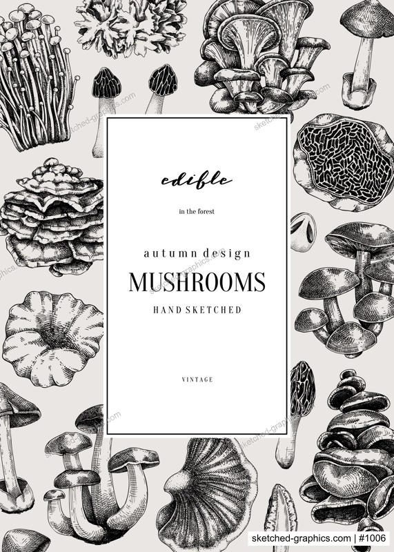Forest mushrooms background. Edible mushrooms frame, vinatge card design. Fungi, healthy food, vegan product sketches. Vintage autumn hand-drawn vector illustration. Engraved design template