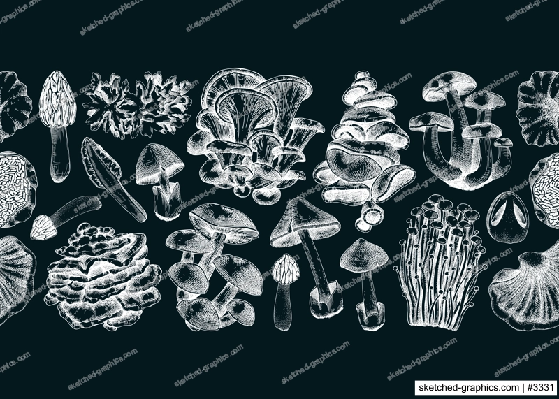 Mushrooms seamless pattern. Artistic autumn forest plant border. Fall background with edible fungi sketches. Hand drawn healthy food, fungal protein on chalkboard. Repeating design for print