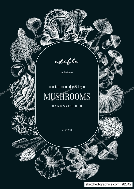 Forest mushrooms background on chalkboad. Edible mushrooms wreath, vintage card design. Fungi, healthy food, vegan product sketches. Autumn hand-drawn vector illustration. Engraved design template