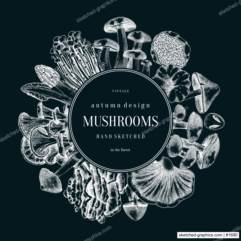 Forest mushrooms wreath on chalkboard. Edible mushrooms frame, vintage card design. Fungi, healthy food, vegan product sketches. Autumn hand-drawn vector illustration. Engraved design template