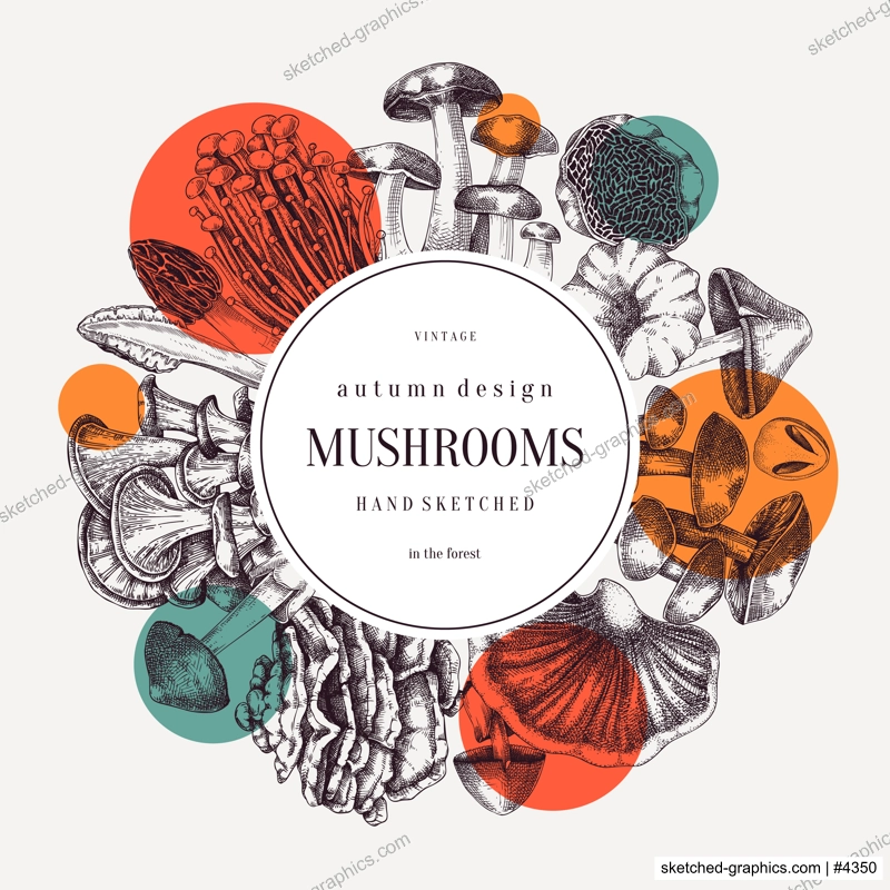 Collage style rorest mushrooms wreath. Edible mushrooms trendy frame design. Fungi, healthy food, vegan product sketches. Autumn background, hand-drawn vector illustration. Engraved design template