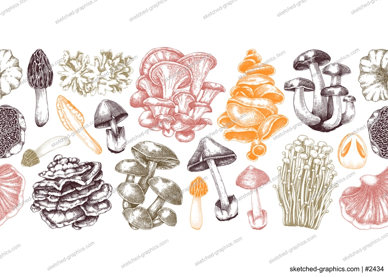 Mushrooms seamless pattern. Artistic autumn forest plant border. Fall background with edible fungi sketches. Hand drawn healthy food, fungal protein vector illustration. Repeating design for print