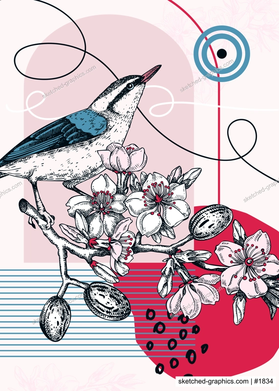 Collage style nuthatch vector illustration. Hand drawn bird on blooming almond branch with flowers, nuts and leaves. Trendy design with botanical, geometric shapes, and abstract elements.