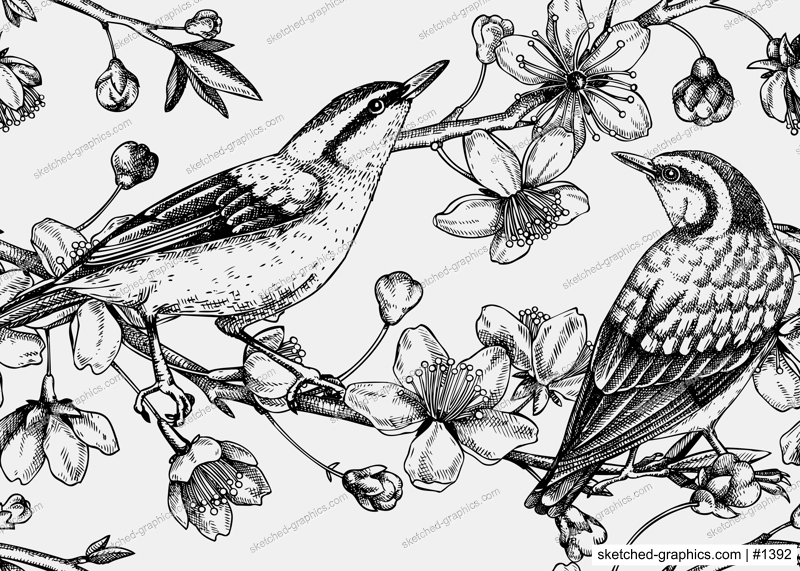 Nuthatches on cherry blossom sketch background in engraved style. Vintage spring seamless pattern with contoured birds and sakura drawing. Botanical vector illustration of blooming tree branches.