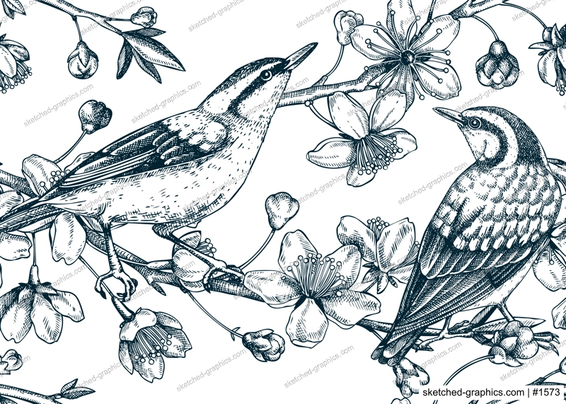 Nuthatches on cherry blossom sketch background in engraved style. Spring seamless pattern with contoured birds and sakura drawing isolated on white. Botanical vector illustration of blooming branches.