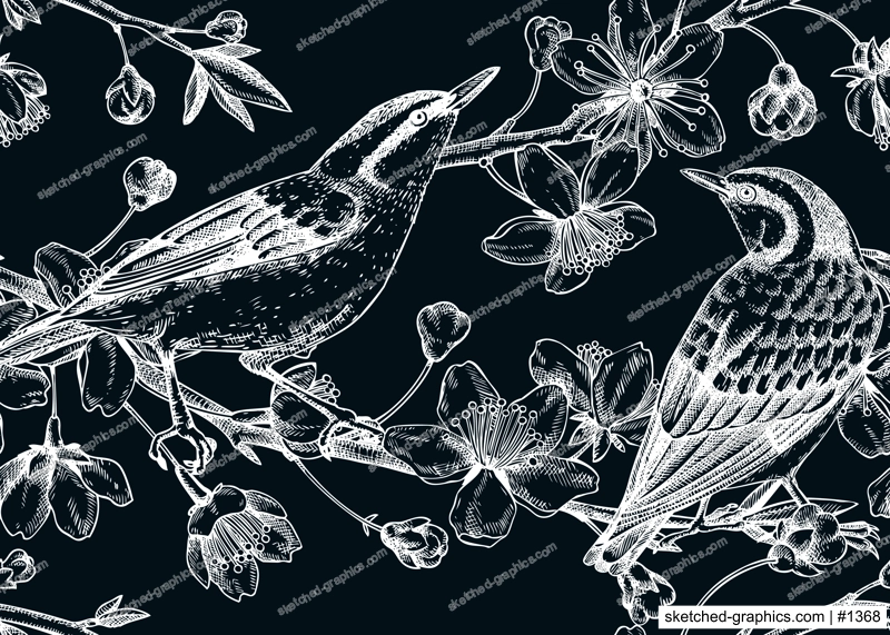 Nuthatches on cherry blossom sketch background in engraved style. Vintage spring seamless pattern with birds and sakura drawing. Botanical vector illustration of blooming branches isolated on black
