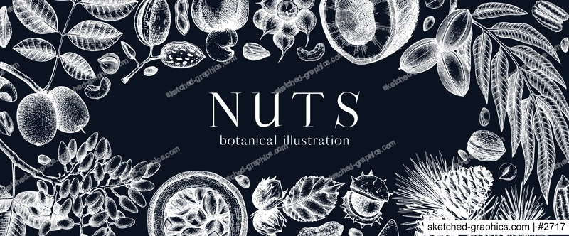 Vector nuts banner on chalkboard. Vintage nuts background in sketched style. Healthy food ingredients template with botanical illustrations. Realistic branches, plants, fruits, nutshells sketches.