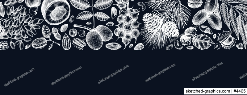 Vector nuts banner on chalkboard. Vintage nuts background in sketched style. Healthy food ingredients template with botanical illustrations. Realistic branches, plants, fruits, nutshells sketches.