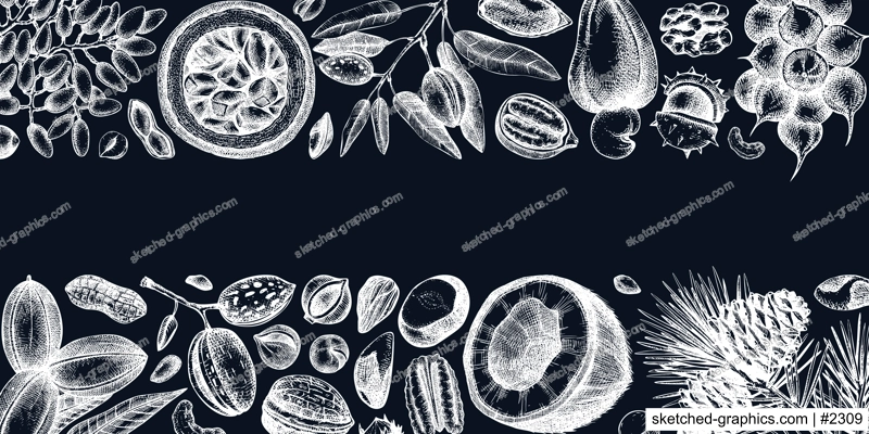 Vector nuts banner on chalkboard. Vintage nuts background in sketched style. Healthy food ingredients template with botanical illustrations. Realistic branches, plants, fruits, nutshells sketches.