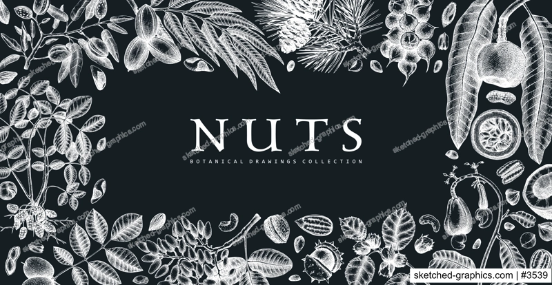 Hand drawn nuts banner on checkboard. Vegetarian product background. Vintage nuts hand-sketched frame. Healthy food vector template with botanical elements, branches, plants, fruits, nuts, nutshells. 