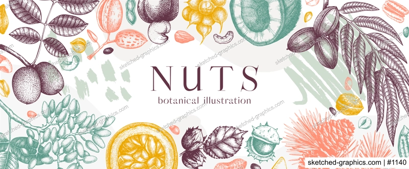 Vector nuts banner in college style. Vintage nuts sketched border. Healthy food background with branches, plants, nutshells hand-drawings and abstract shapes. Realistic botanical illustrations