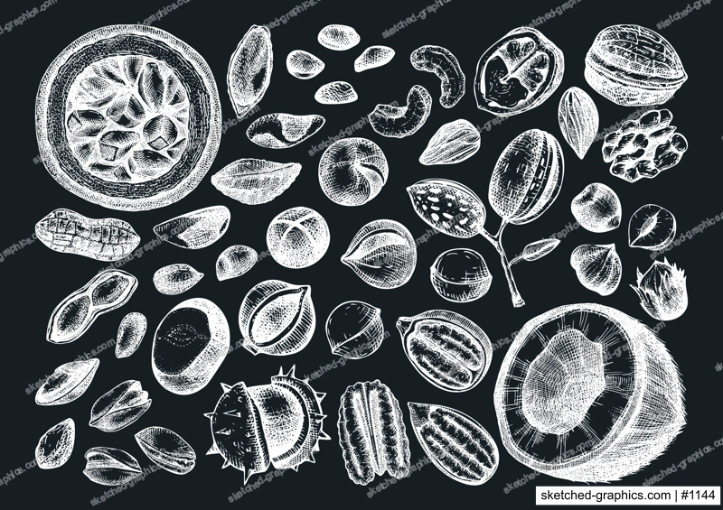 Vector nuts illustrations collection on chalkboard. Hand-drawn pecan, macadamia, pine nuts, walnut, almond, pistachio, chestnut, peanut, Brazil nut, hazelnut. Hand-sketched healthy food drawings