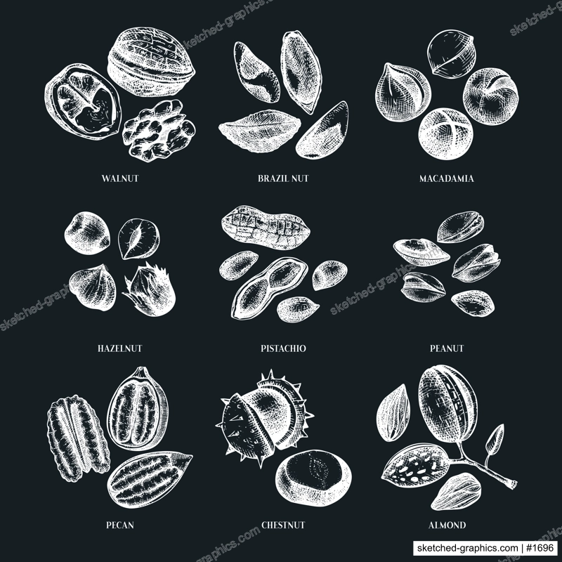 Vector nuts illustrations collection on chalkboard. Hand-drawn pecan, macadamia, pine nuts, walnut, almond, pistachio, chestnut, peanut, Brazil nut, hazelnut. Hand-sketched healthy food drawings
