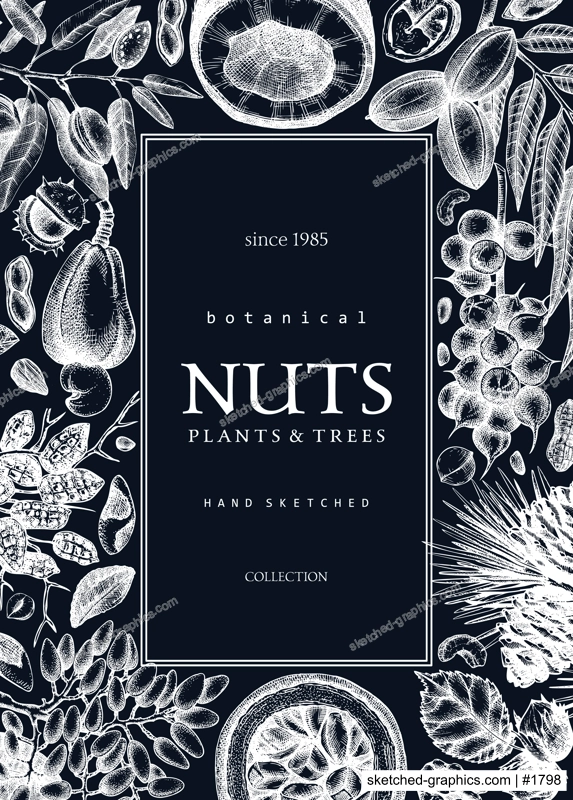 Vector nuts frame on chalkboard. Vintage nuts background in sketched style. Healthy food ingredients design template with botanical illustrations. Realistic branches, plants, nutshells sketches.