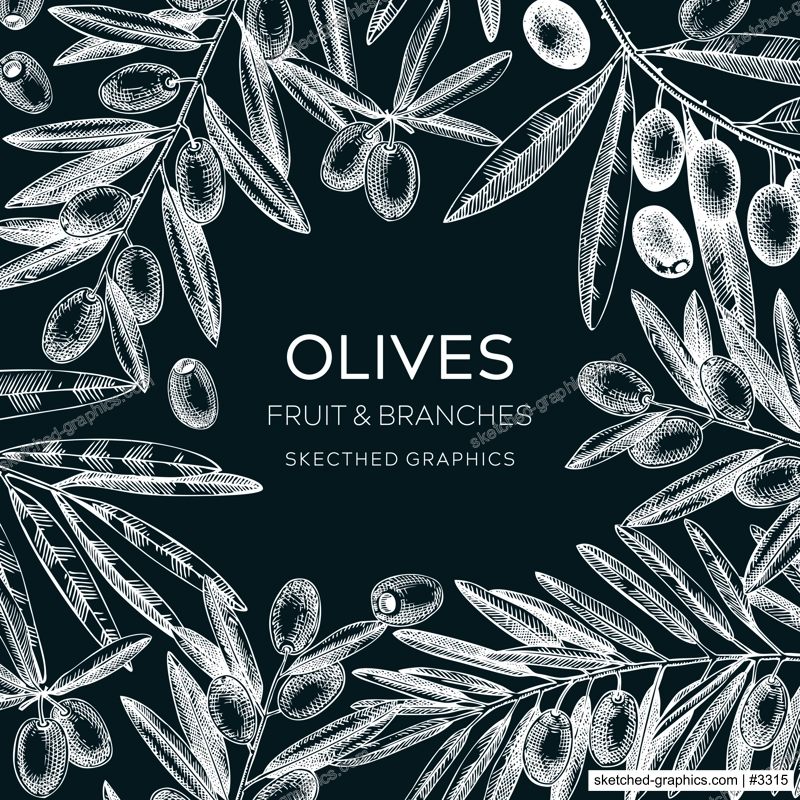 Olives frame design. Olive tree branches sketches. Mediterranean food menu template on chalkboard. Hand-drawn vector illustration. NOT AI generated.