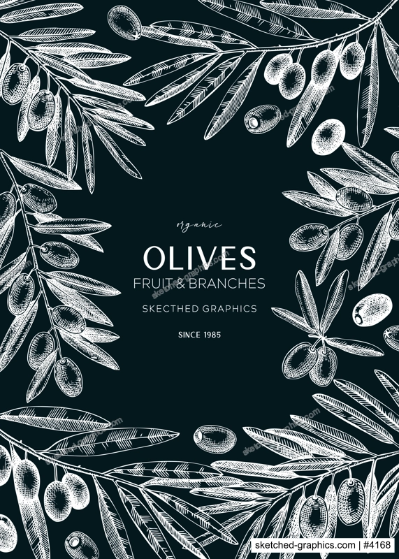 Olives design. Olive tree branches sketches. Mediterranean food menu template on chakboard. Hand-drawn vector illustration. NOT AI generated.