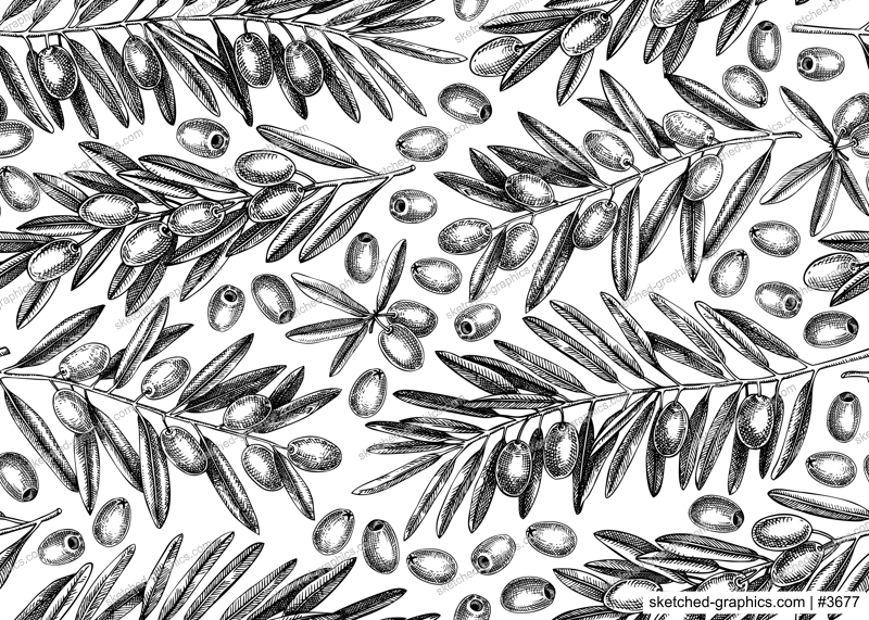 Olive branch seamless pattern. Vector background with leaves and fruits sketches in vintage style. Vegetable oil ingredients texture. Olive plant illustration for print or packaging design