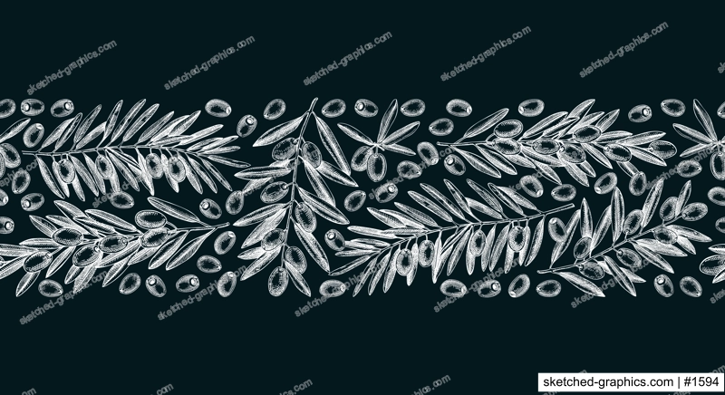 Olive branch seamless pattern on chalkboard. Vector banner design with leaves and fruits sketches in vintage style. Vegetable oil ingredients ribbon. Olive plant border template for print or packaging